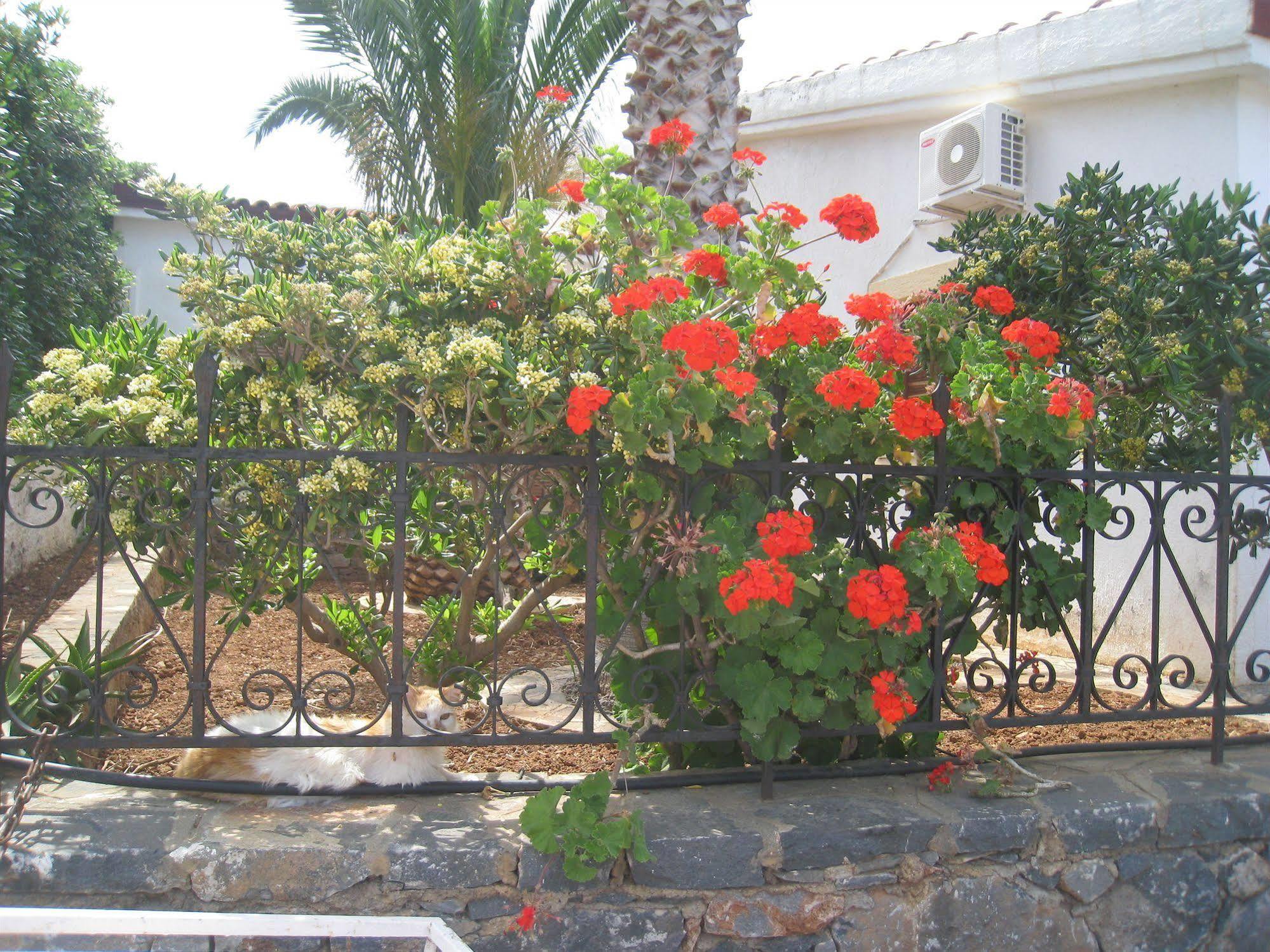 Athina * Elounda